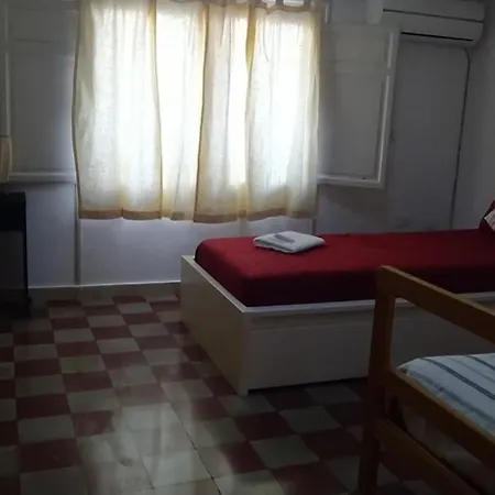 Star At The Cathedral