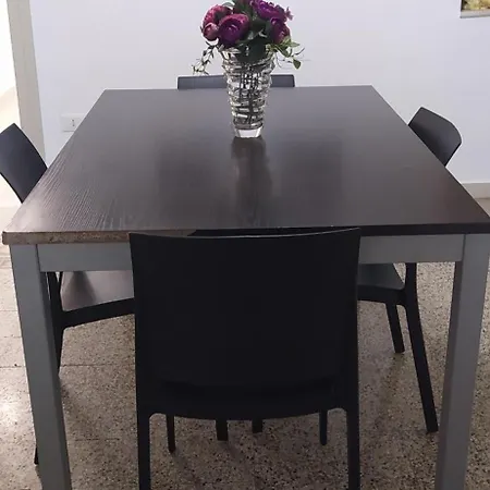 Star At The Cathedral * 巴勒莫